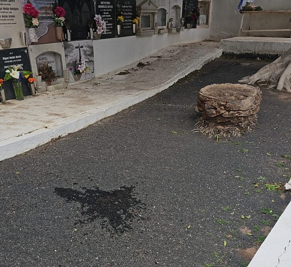 Estado cementerio Femés